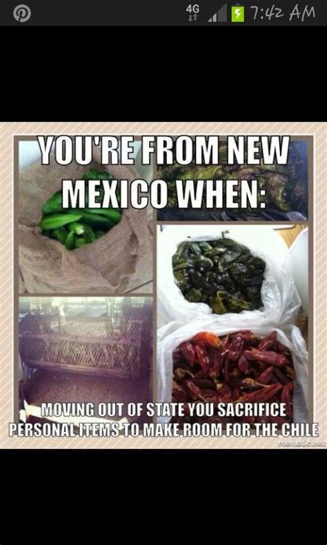 new mexico green chile meme